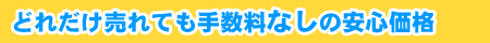 �ǂꂾ������Ă��萔���Ȃ��̈��S���i�B���z��p������グ���̎萔����������܂���B